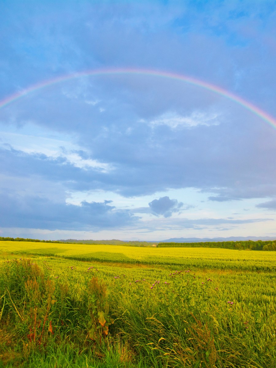 It Won’t Kill You (Until It&nbsp;Does)